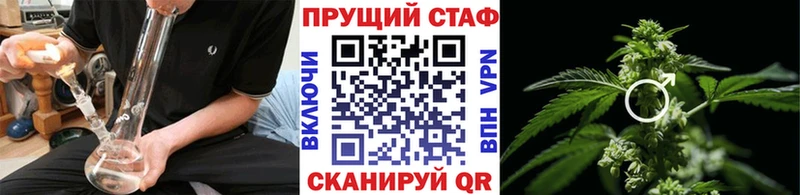 Купить наркоту Новосибирск Псилоцибиновые грибы  Амфетамин  Меф  КЕТАМИН  Каннабис 