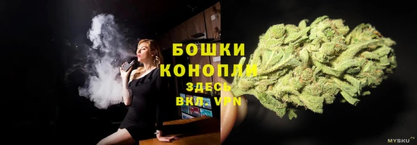 соль ск Дмитровск