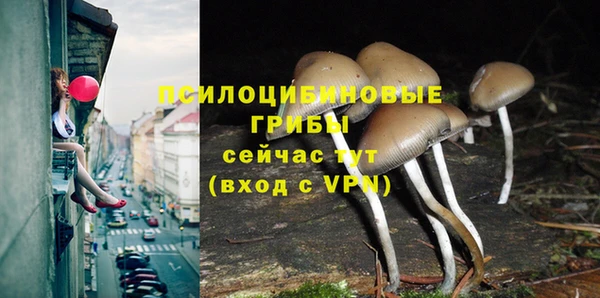 таблы Дмитриев