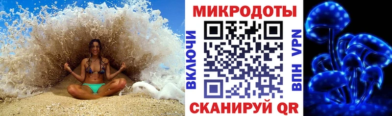 купить закладку Новосибирск Галлюциногенные грибы мухоморы