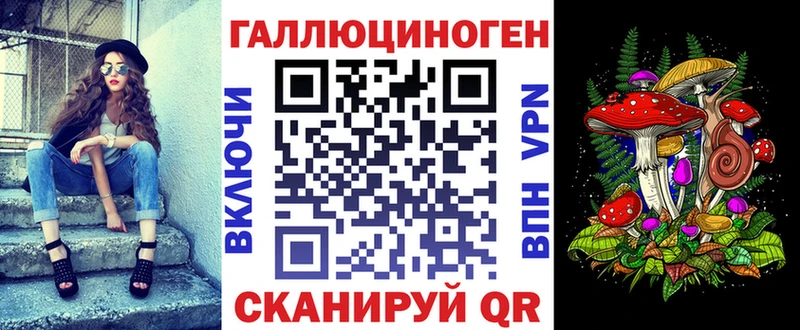 Галлюциногенные грибы Psilocybe Новосибирск